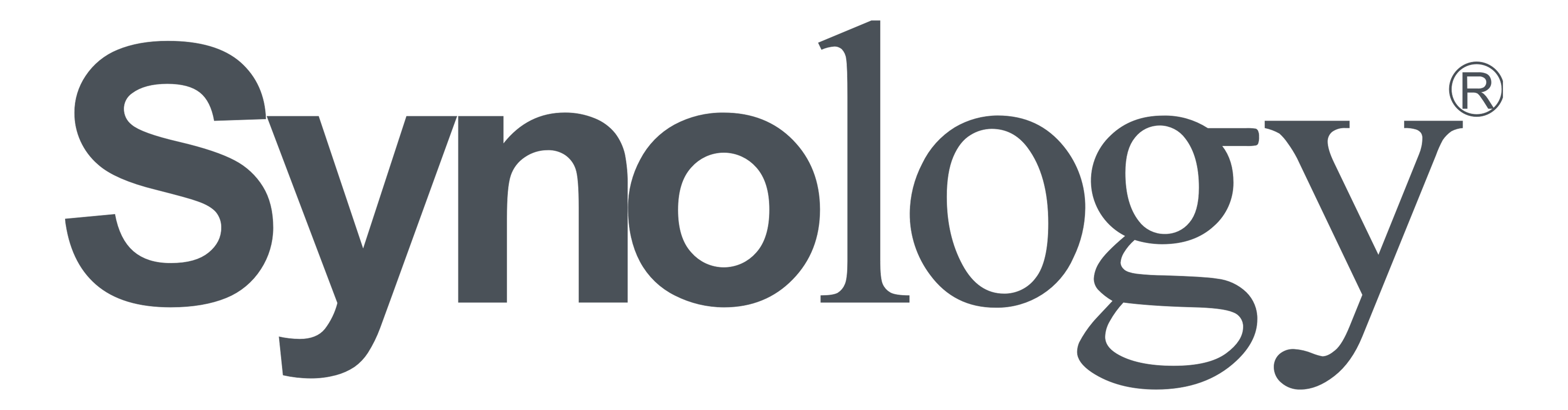 /synology.png-logo